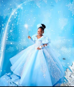Arin Frozen Princess Ball Dress