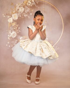 Brocade Tulle Dress