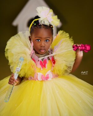 Tulle Ruffle Sleeve Butterfly Dress in Yellow & Pink Butterflies